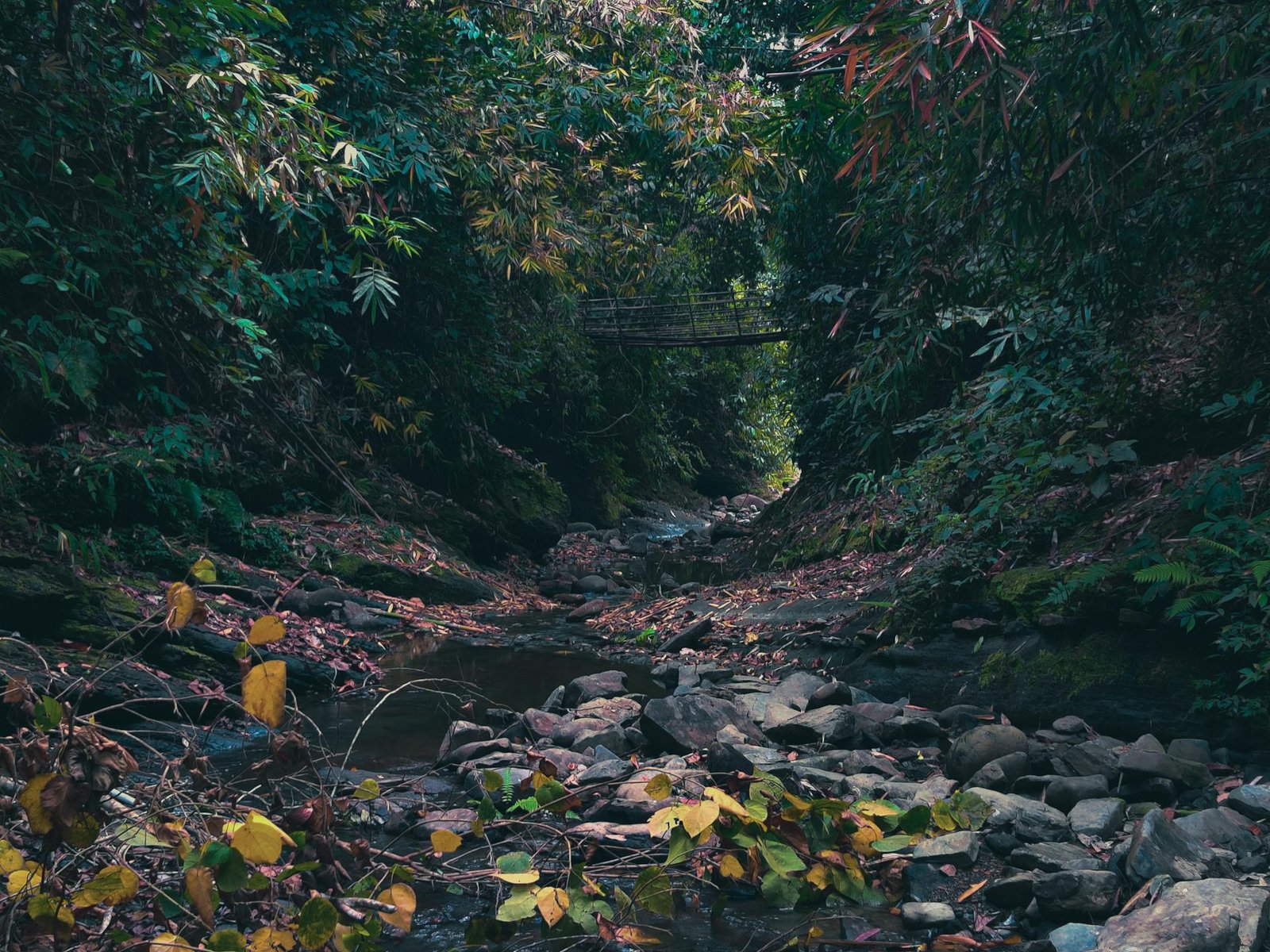 Mawsynram